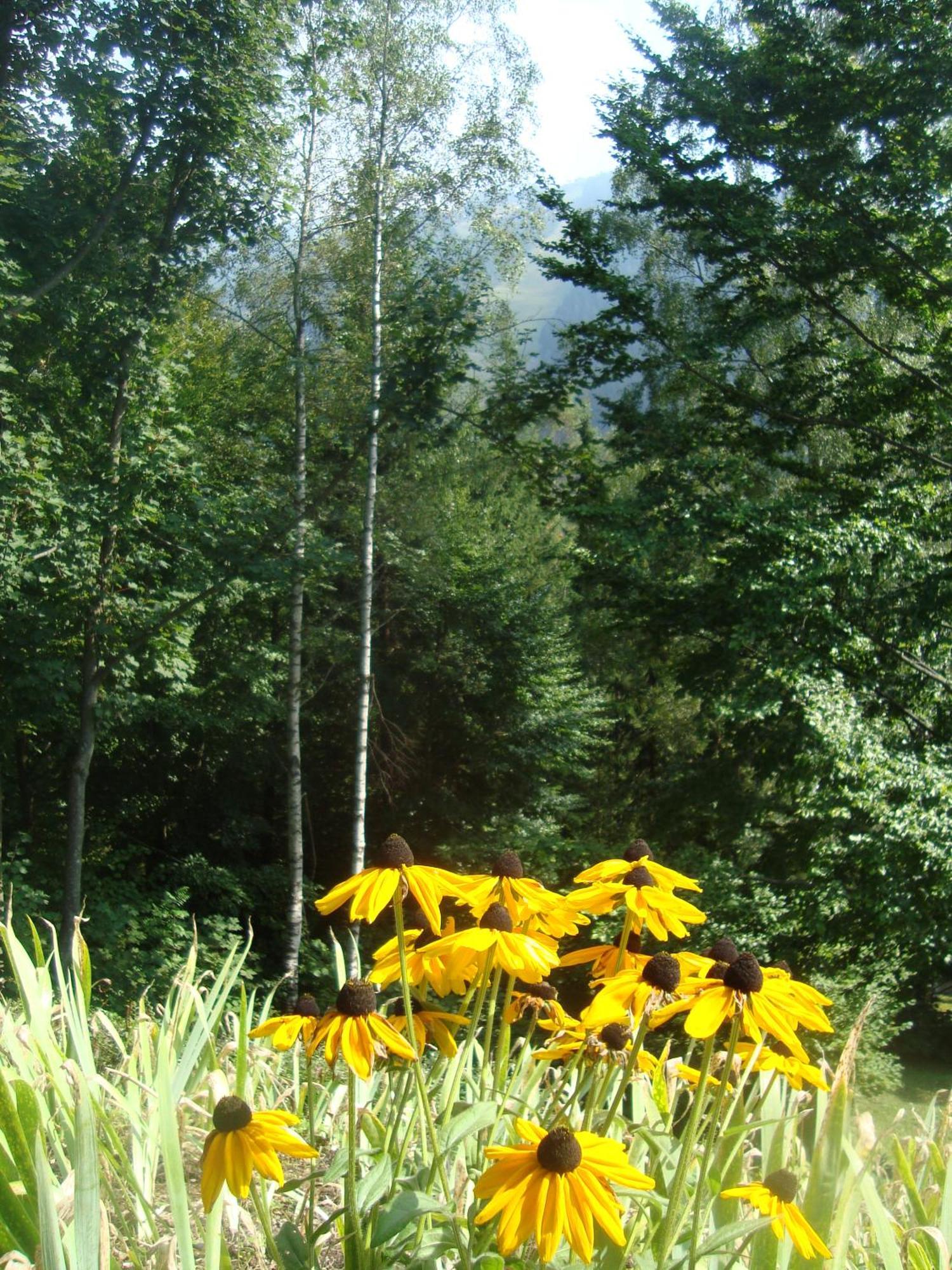 Semmering Villa Sonnenschein Exteriör bild